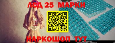 шишки Тверь
