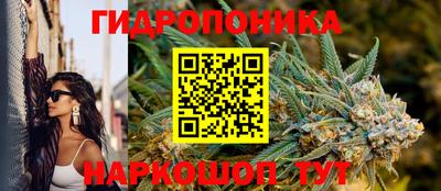 таблы Ставрополь