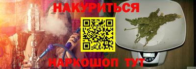 шишки Тверь