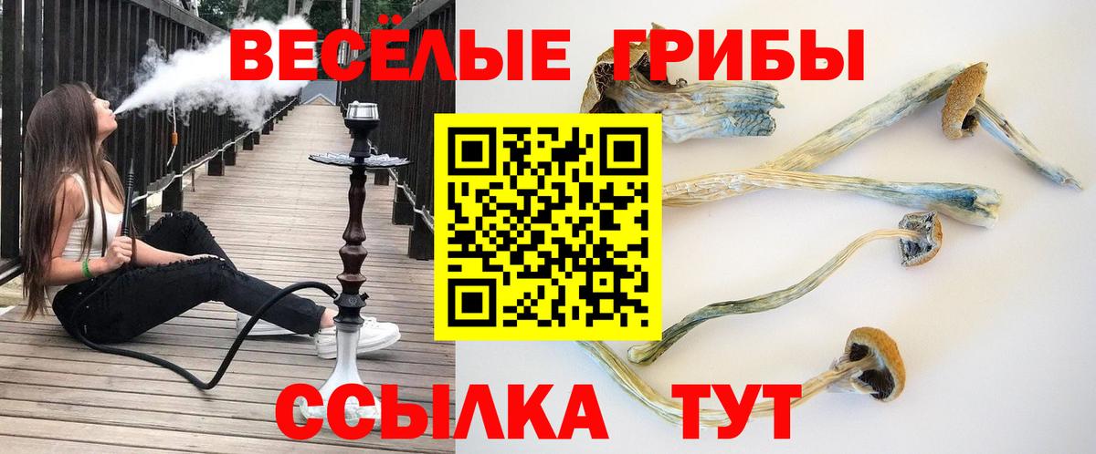 Псилоцибиновые грибы GOLDEN TEACHER  Вход с VPN  Первоуральск 